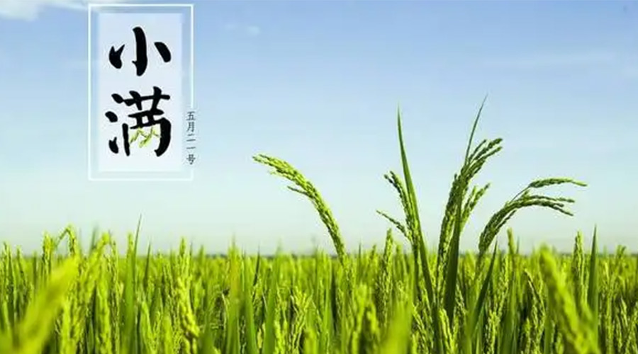 小滿時節(jié)！金環(huán)電器提醒大家要注意的事項(xiàng)