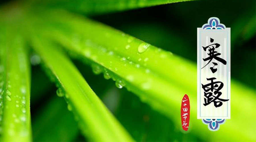 寒露時節到！金環電器提醒這些干衣事項要注意